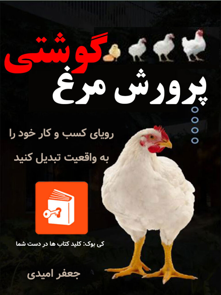 پرورش مرغ گوشتی