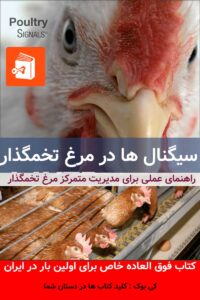 نشانه ها در مرغ تخمگذار
